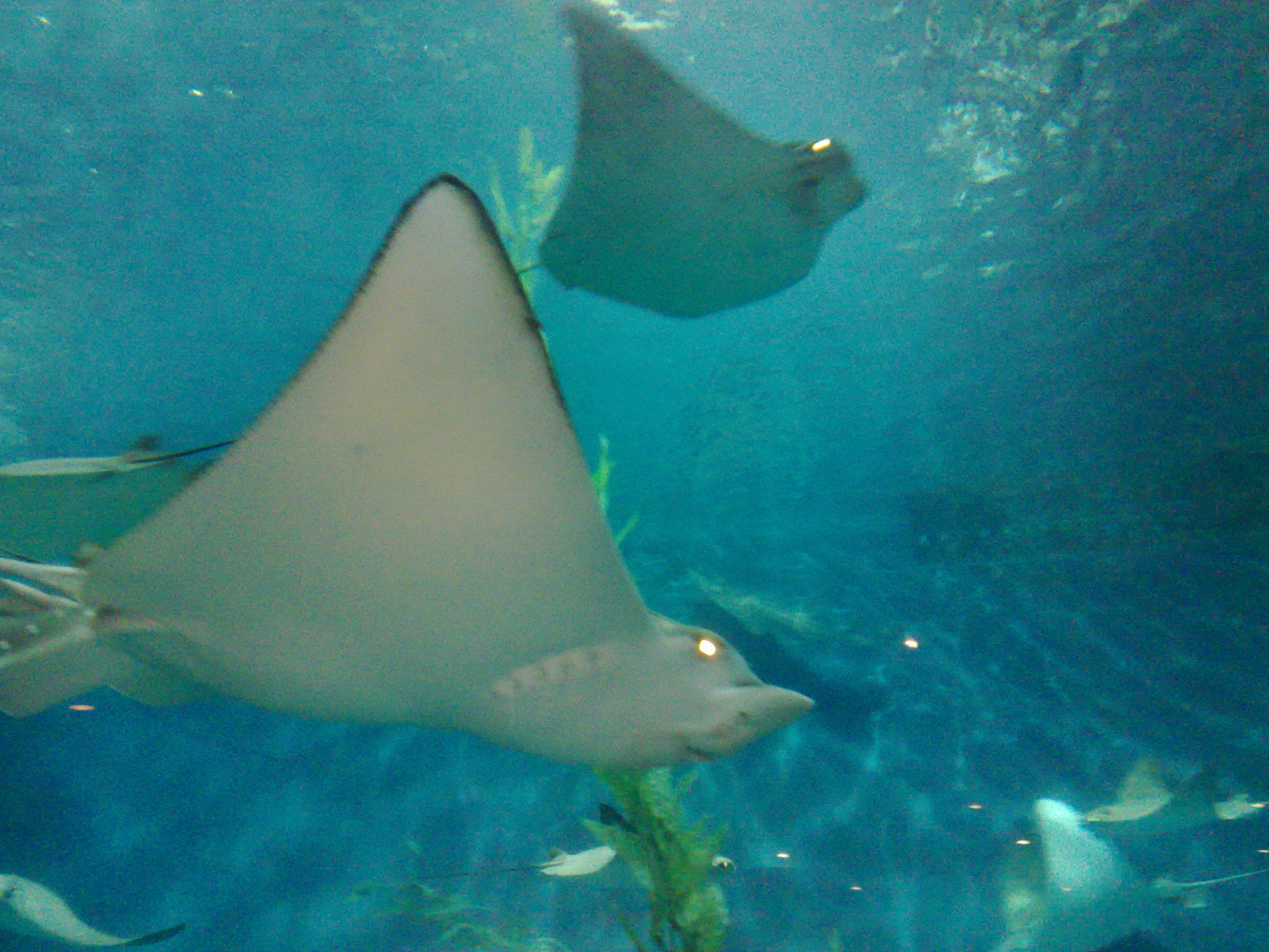 EXPOnáty Jardy Hudce III.